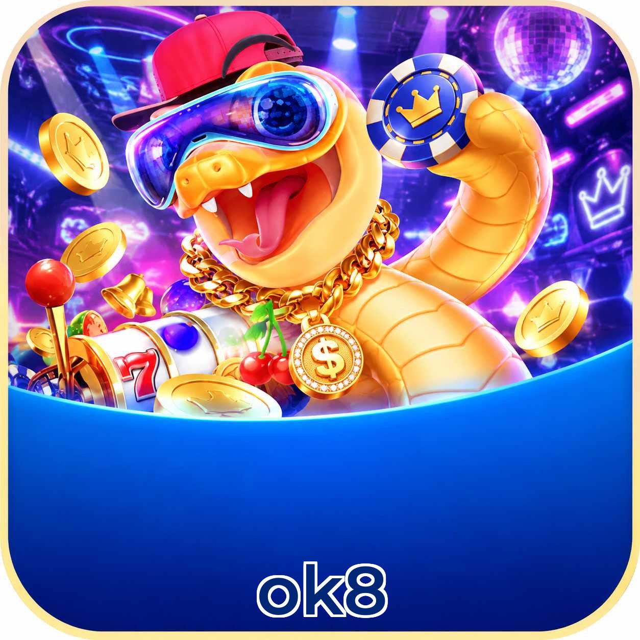 ok8 App Features